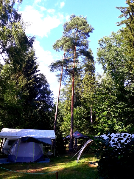 20180810_180410.jpg - Der Campingplatz ist mehr oder weniger im Wald!