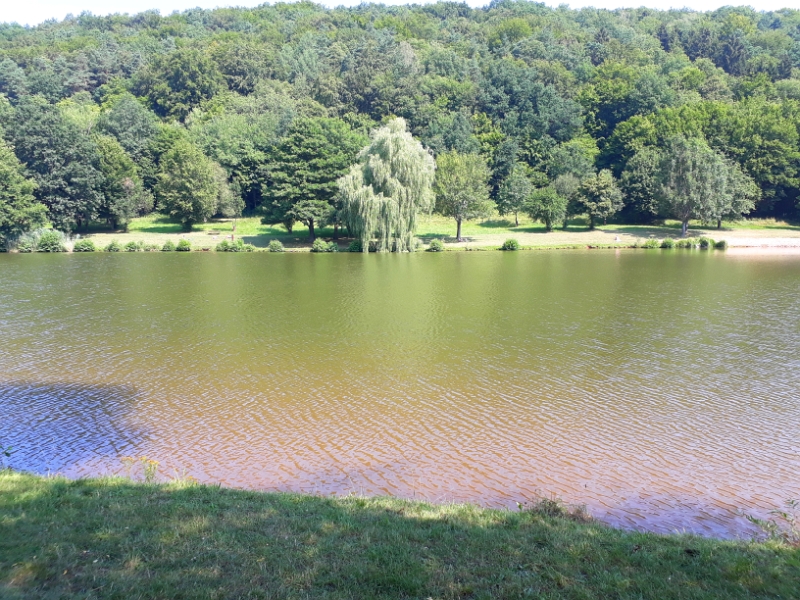 20180714_112853.jpg - Wir sind mehrmals in den See gesprungen und haben uns abgekühlt!