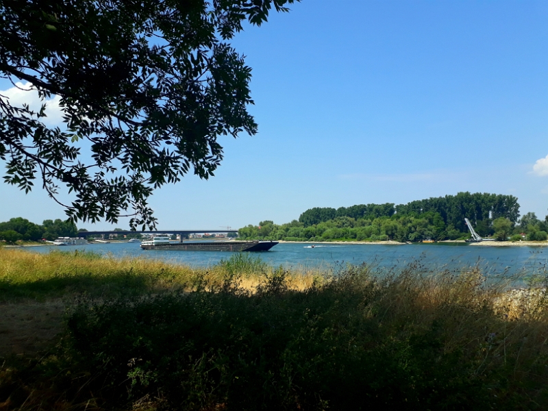 20180715_141022.jpg - Wir beobachten das treiben auf dem Wasser.