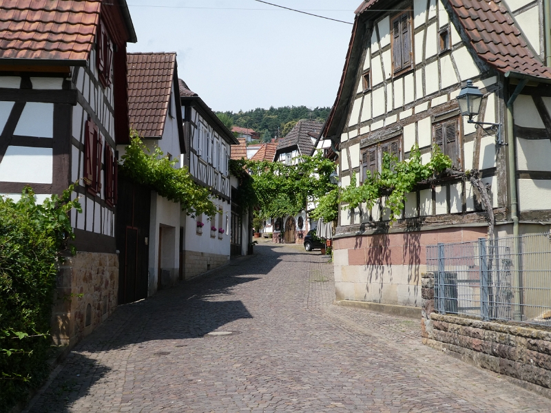 P1000061.JPG - Zunächst schauen wir uns aber einmal die Winzergasse von Gleiszellen an.