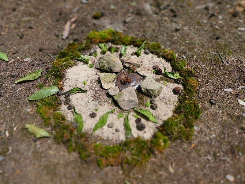 P1000088.JPG - Ein schickes "Kunstwerk" im Wald entdeckt.