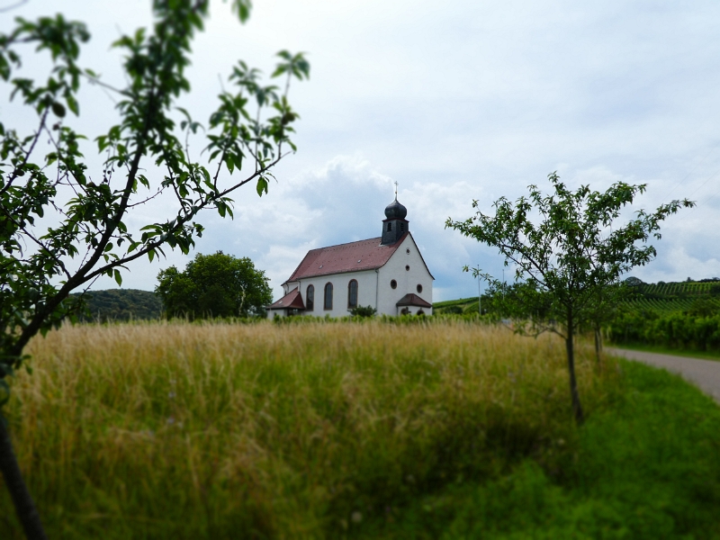 P1000110.JPG - Zwischen Gleishorbach und Gleiszellen steht diese kleine Kirche.