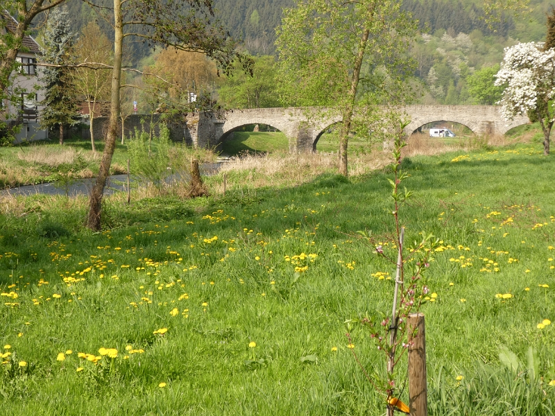 P1090461.JPG - Wir stehen an der St. Nepomuk-Brücke, die älteste Steinbrücker der Ahr.