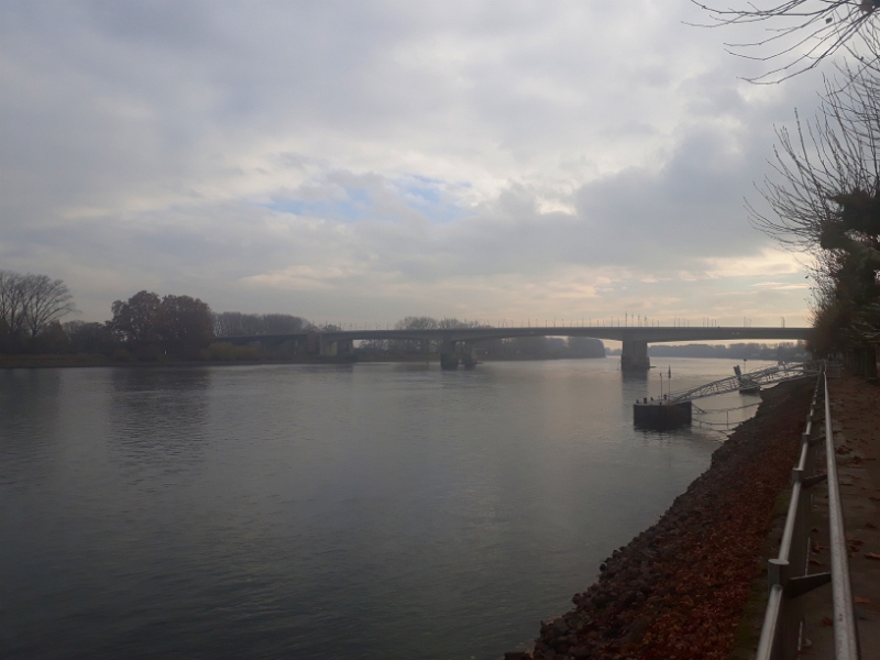 20181124_122902.jpg - Im Rhein ist immer noch sehr wenig Wasser!