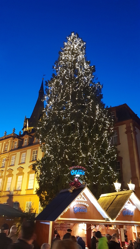 20191221_170347.jpg - Hab ich schon den riiiieeeesigen Baum erwähnt?!?