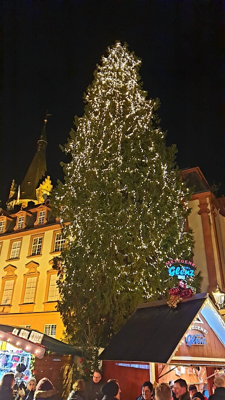 20191222_115832.jpg - Der Baum ist echt groß! Falls ich es noch nicht erwähnt habe!?