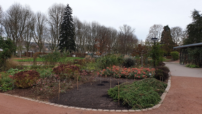20191123_123141.jpg - Natürlich ist der Rosengarten im "Wintermodus" und dementsprechend unspektakulär.