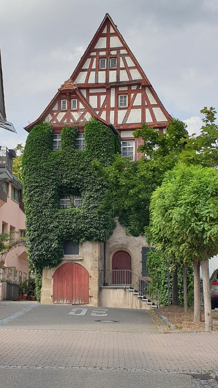 20190727_155140.jpg - Das Stein- bzw. Helferhaus, ist das älteste Haus Güglingens