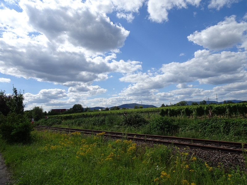 DSC06134.JPG - Das Wetter ist gut und soll es auch das Wochenende über bleiben.