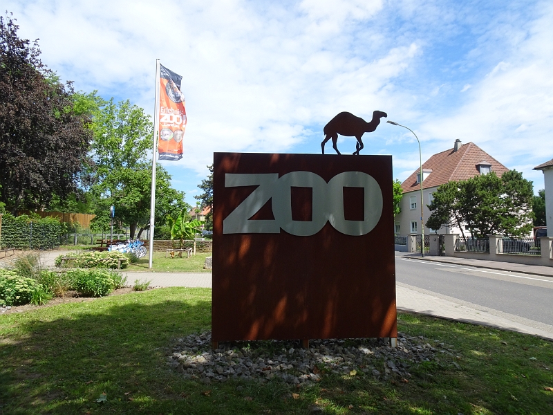 DSC06206.JPG - Nächster "Programmpunkt" ist der Zoo. ;-)