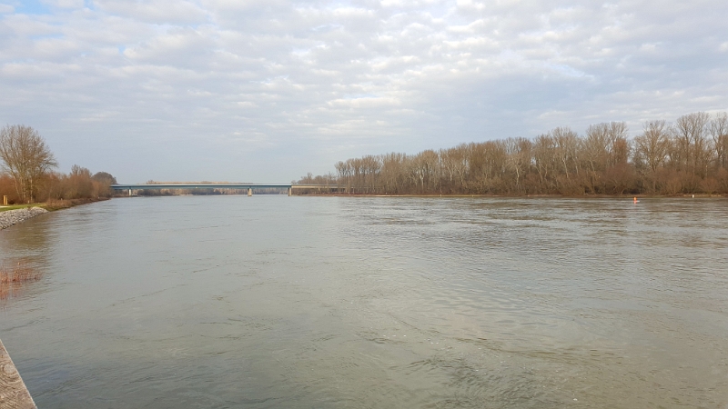 20200208_152612.jpg - Wir sind zum Rhein spaziert um nach dem Wasserpegel zu schauen.