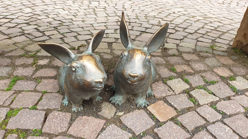 20200314_122249.jpg - Auf dem Marktplatz sitzen bereits zwei Hasen und warten auf Ostern?!?