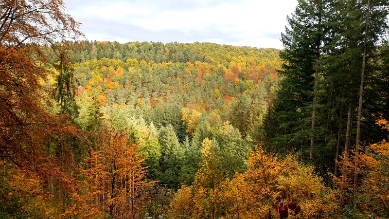 20201024_132211.jpg - Die Pfalz im Herbst ist schon echt schön anzusehen!