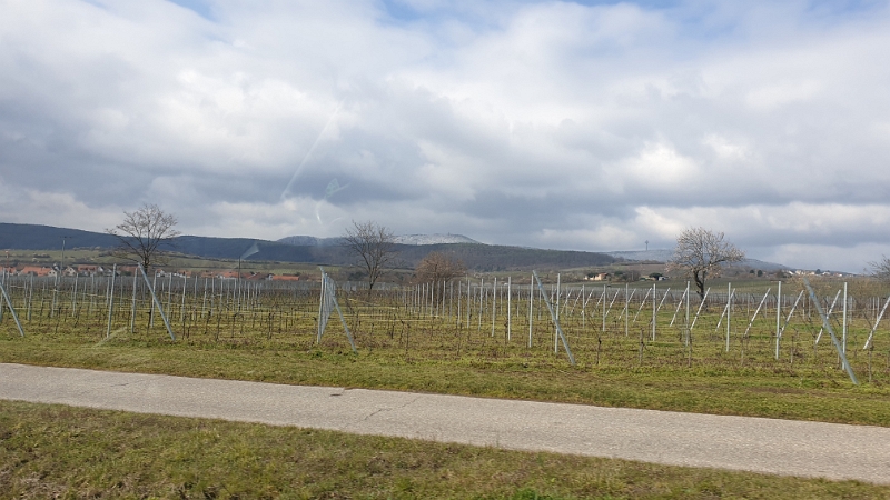 20210319_111238.jpg - ...im Hintergrund ist auf den "Höhen" Schnee oder Frost zu erkennen?!?