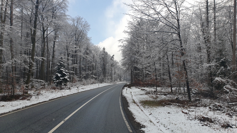 20210319_120806.jpg - Wahnsinn! Heute morgen war es sehr warm in der Sonne (Bei Bad Dürkheim) und nun sind wir bei etwa 2°C im Schnee!!!