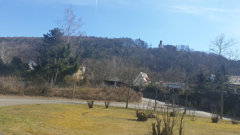 20210320_121827.jpg - ...durch Hohenecken...