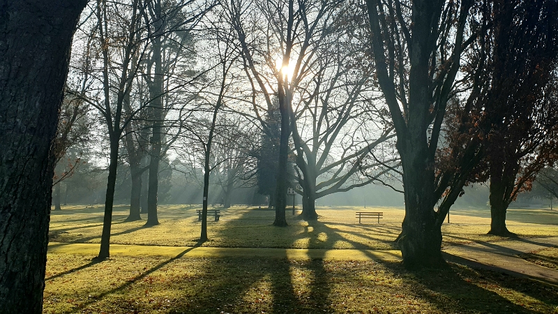 20220101_161816.jpg - ...laufen wir bei allerbesten Wetter durch den Kurpark...