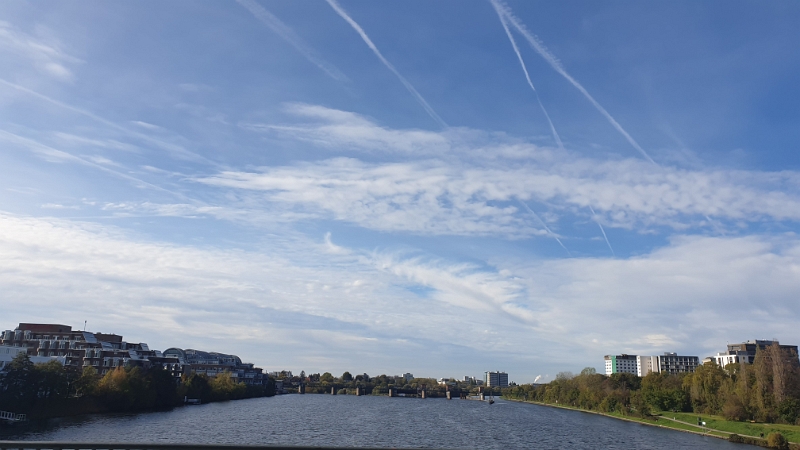 20221106_123619.jpg - ...folgen dieser und kommen in Heidelberg über den Neckar.