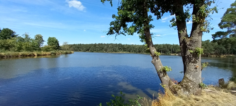 20220806_121758.jpg - WOW! Was ist das denn ein schöner See?!?