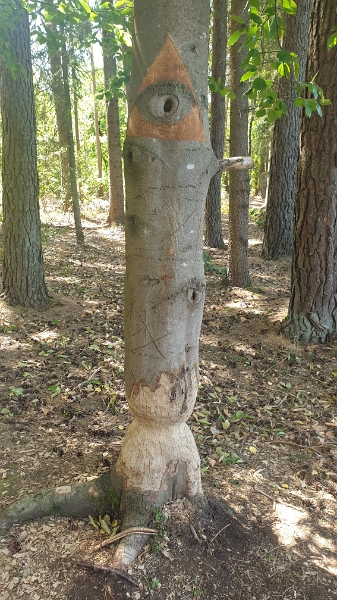 20220806_132015.jpg - Kunst im Wald.