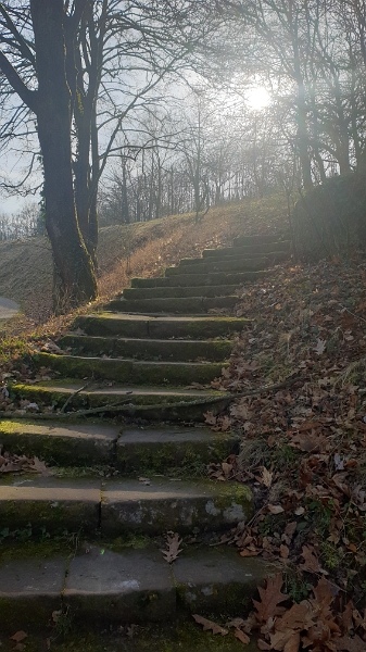 20220212_104954.jpg - Ui, hier geht es nun steil die Treppen hoch...