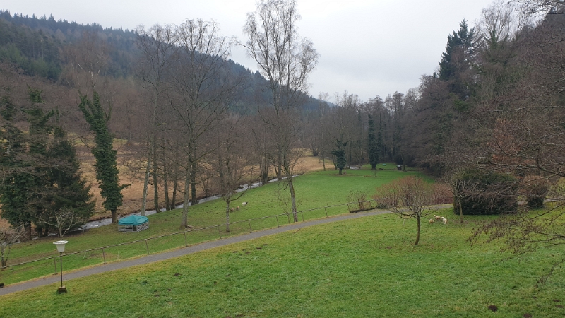 20220122_124502.jpg - Der Blick in das idylische Albtal.