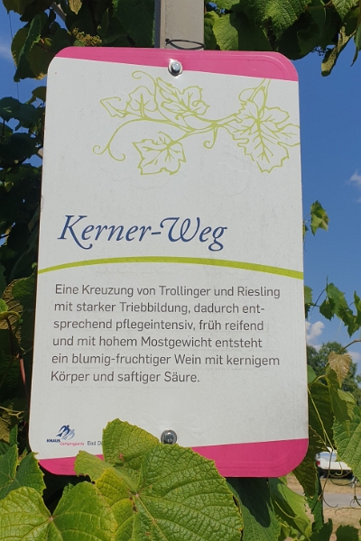 20230616_162204.jpg - ...im Kerner-Weg!