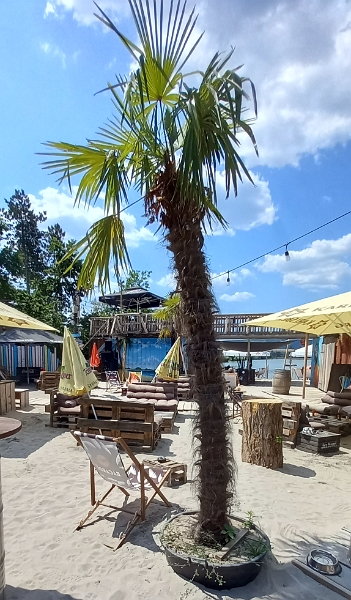 20230617_130844.jpg - Spätestens jetzt, mit Sand in den Crocs, sind wir gefühlt im Urlaub!!! :-)