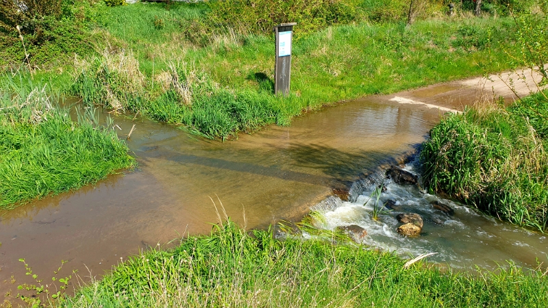 20240406_170923.jpg - Wegen Überschwemmung müssen wir einen kleinen "Umweg" machen...