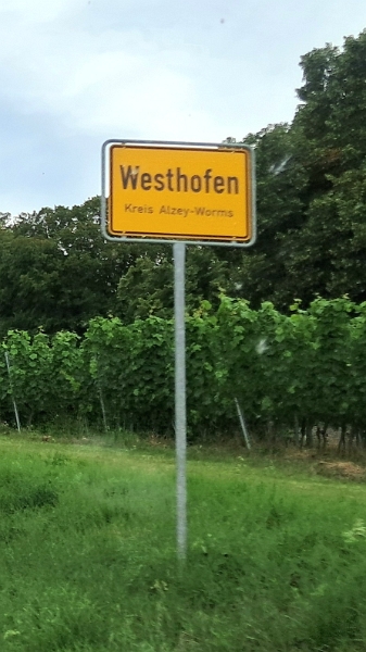20240705_181314.jpg - Wir sind dann kurzerhand nach Westhofen gefahren...