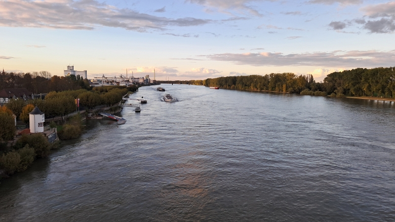 20241011_180726.jpg - Von der Nibelungenbrücke schaue ich auf den Rhein und die Schiffe.