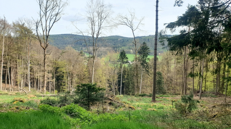 20240414_152204.jpg - Wir starten zu einer Wanderung!