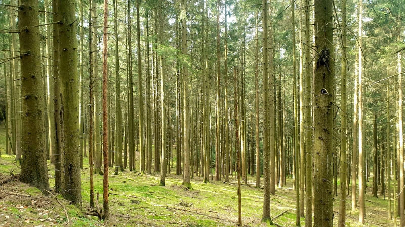 20240414_152225.jpg - Toll, wie immer gehts den Berg rauf!?!?