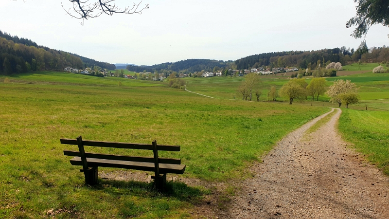 20240414_154156.jpg - Weiter geht unsere Wanderung. Vor uns liegt Grasellenbach...