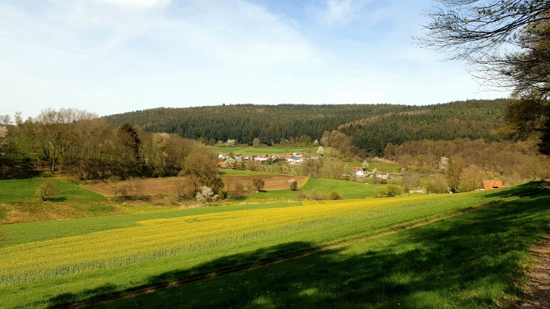 20240414_155157.jpg - ...zurück ins Mossautal bzw. Hiltersklingen.