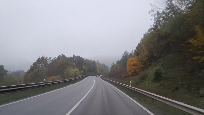 20241018_173036.jpg - Das Wetter könnte echt besser sein.Achja, wir wollen Pilze und oder Kastanien sammeln und fahren daher hier in die Pfalz.