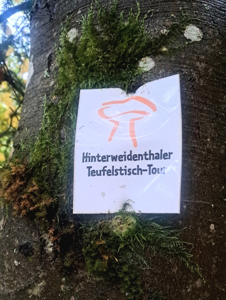 20241019_094607.jpg - Wir sind auf der "Hinterweidenthaler Teufelstisch-Tour" unterwegs.