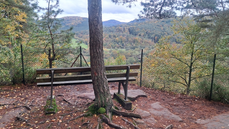 20241019_115839.jpg - Auf einem wunderschönen Aussichtspunkt haben wir dann unser Frühstück mit belegten Brötchen und Kaffee gemacht.