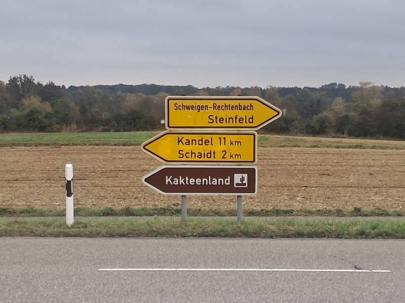 20241020_134830.jpg - ...und kommen auf dem Heimweg bei Steinfeld vorbei.