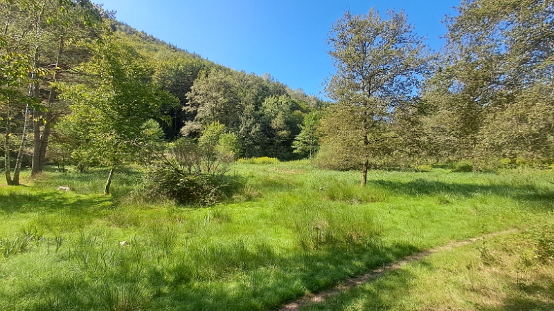 20240824_120612.jpg - Am nächsten Tag starten wir zu einer kleinen Wanderung.