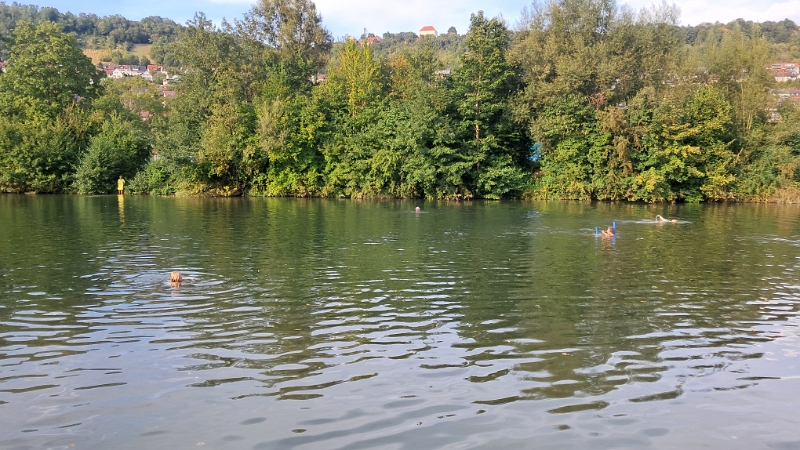 20240830_175350.jpg - Natürlich springen wir ins Wasser und schwimmen im Kocher ein "paar Bahnen". ;-)