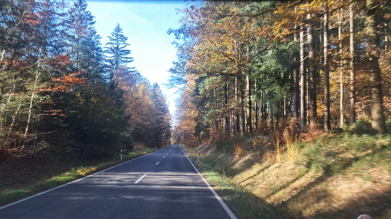 20241103_101158.jpg - Das Wetter könnte kaum besser sein. Die Sonne scheint als wir durch den Spessart fahren.Achja, wir "Querfeld über Land"...