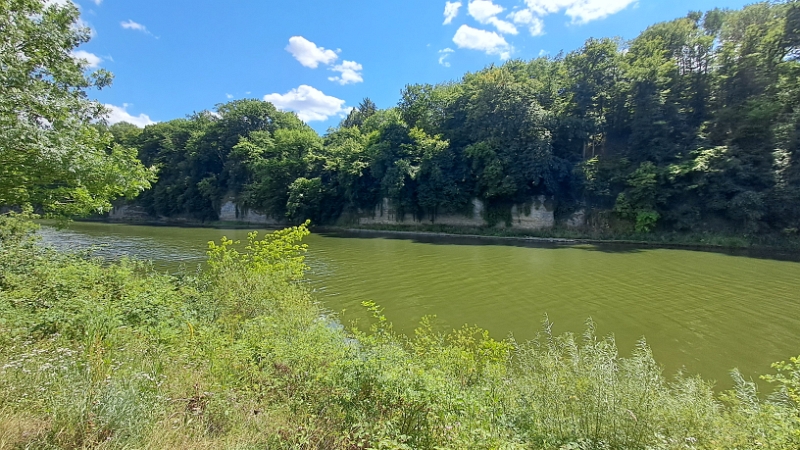 20250704_145604.jpg - Hab ich schon erwähnt, das wir direkt am Neckar stehen? ;-)