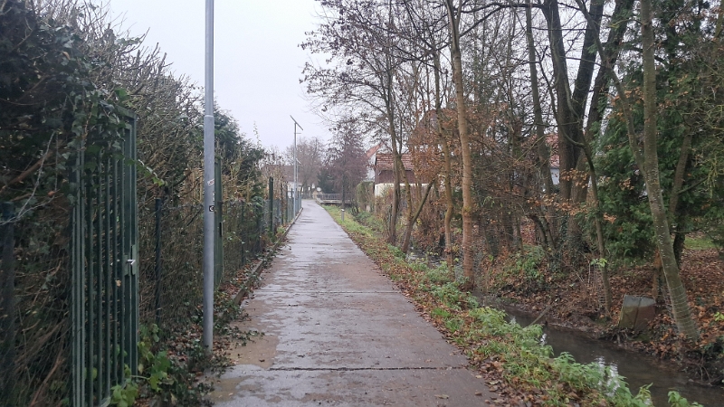 20251206_124523.jpg - Am nächsten Tag laufen wir...