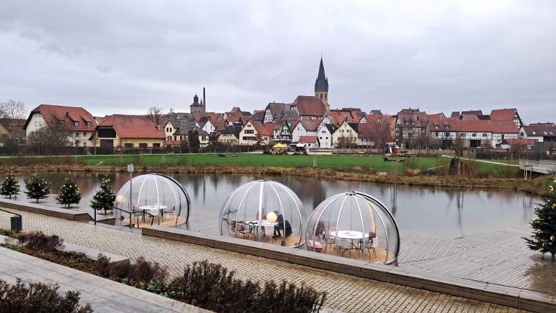 20251206_131411.jpg - ...am Weiherpark...