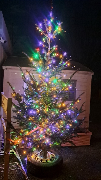 20250111_190440.jpg - Auf dem Stellplatz steht noch der Weihnachtsbaum.