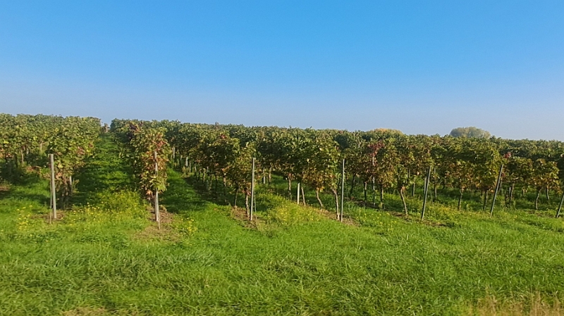 20251011_102210.jpg - Wir nähern uns dem "Zielgebiet" :-)