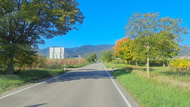 20251011_103204.jpg - Wir fahren einfach mal blindlings nach Diedesfeld...