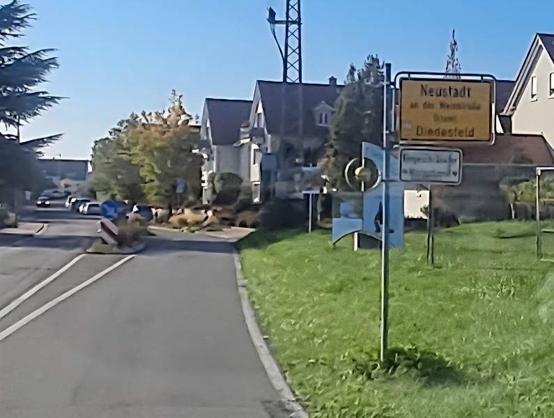 20251011_103840.jpg