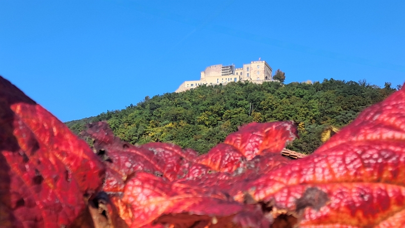 20251011_113801.jpg - Nachdem wir unsere Wanderklamotten angezogen haben, laufen wir los.Achja, wie auf dem Bild zu erkennen stehen wir drekt unterhalb vom Hambacher Schloss.